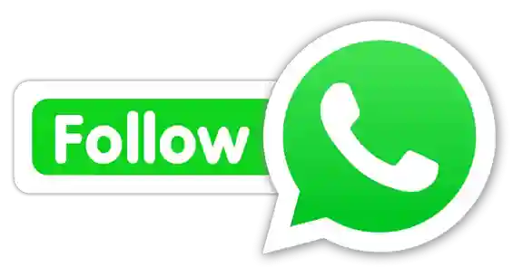 All Jaiho Market WhatsApp